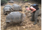 Ecuador's Galapagos Islands (Ecological wonderlands of the Galapagos Islands) - Tour Length: 8 Days