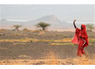 Essence of Tanzania
