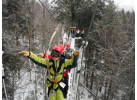 Wild Winter Ride Canopy Tour