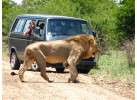 Southern African Circuit: 32-Day Cultural & Wildlife Adventure