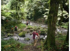 6 Day Gorillas in PNV and Culture in Mgahinga