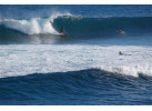 Surf School at Baja Northern Resort - 5 Days for 2 to 3 Surfers