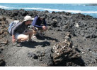 Galápagos Islands Sailing and Multi-Sport Adventure