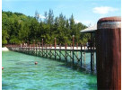 Borneo - Into the Heart of the Rainforest