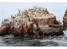 South America: 21-Day Andean Discovery