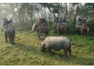 Annapurna Mountains & Wildlife