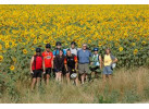 Bicycle Tours in Italy: Bicycling Venice to Florence