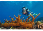32 Days Central American Journey from Playa del Carmen to San Jose