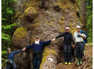 Sail to Haida Gwaii and Queen Charlotte Islands - Island Odyssey 8 Days