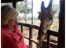 Grand Safari - 15 Day Tour