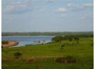 Amazon Riverboat Adventure: 9-Day River Cruise & Wildlife Adventure