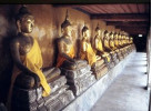 Roam Southeast Asia: 16 Days Trek Through Thailand