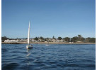 Experience the Thrill of Wednesday Night Regatta