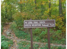Bicycle Tours in USA: Vermont Bike and Brew 