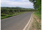 Bicycle Tours in Italy: Bicycling Venice to Florence