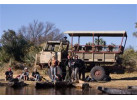 Grand Adventurer (75 Days) Nairobi to Cape Town