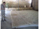Experience Middle East - Jordan, Israel & Egypt 29 Days Adventure