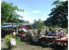 Borneo - Into the Heart of the Rainforest