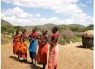 Tanzanian Culture and Wildlife Adventure