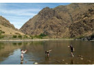 Rafting Adventure on Snake River Through Hells Canyon (5 Days)