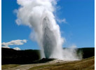 Wyoming Family | Yellowstone/Teton