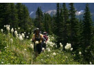 5 Days Boomer Backpack in Glacier National Park, Montana - Special Trip for Seniors