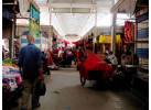Turkestan Adventure