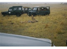 32-Day Wildlife & Cultural Experience in Rwanda, Uganda, Kenya & Tanzania