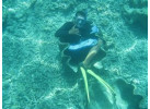 PALAU: Oceania Odyssey