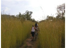 West Africa Encompassed