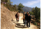 Chomolhari Base Camp Trek