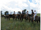 Wyoming Family | Yellowstone/Teton