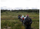 The Patagonia: The Mountain Splendor of Paine and Fitzroy and the Whales of Peninsula Valdés