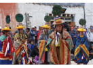 The Kingdom of Mustang 