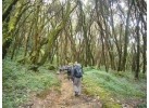 Annapurna Community Lodge Trek