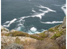 Essence of South Africa - 14 Day Tour