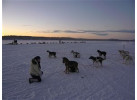 Winter Wonderland - Sweden Family Adventure