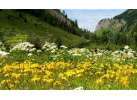 Mont Blanc Classic Walks