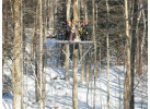 Canopy Adventure at Smugglers Notch