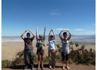 Serengeti: The Ultimate Safari Experience
