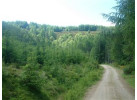 Self-Guided Walking: The Speyside Way