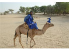 Morocco - Fez to Marrakech