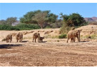 Splendors of Southern Africa - Namibia, Botswana and Zimbabwe