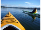 ActiVino! Paddle & Wine
