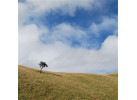 Ecuador: The Highlands