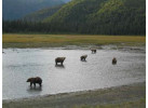 Executive Fishing and Wildlife Safari