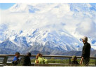Alaska & Yukon Northern Experience