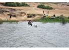 7 Day Gorillas in Rwanda and Chimps and Wildlife in Uganda 