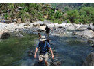 Annapurna Mountains & Wildlife