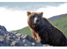 Alaska Family Fishing Adventure